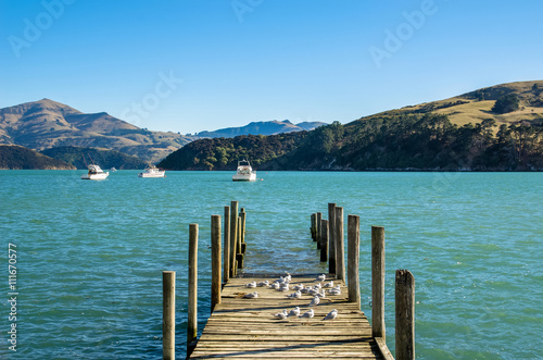 Jetty in Akaroa, south island of New Zealand. photo