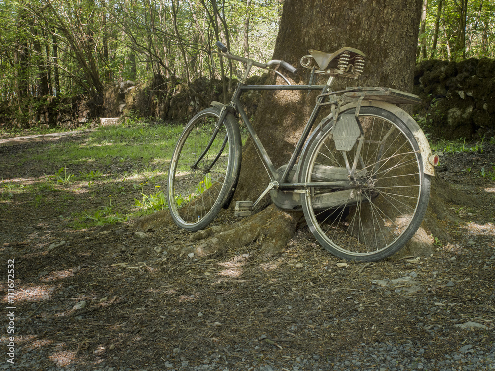 Old bike by a tree in a town park.