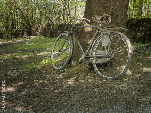 Old bike by a tree in a town park.