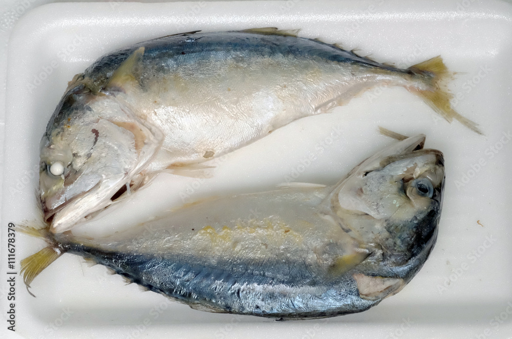 mackerel on the white foam trays. mackerel on the white foam trays.