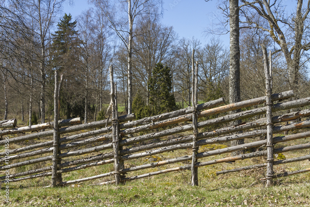 Beteshage med gärdsgård av enestörar