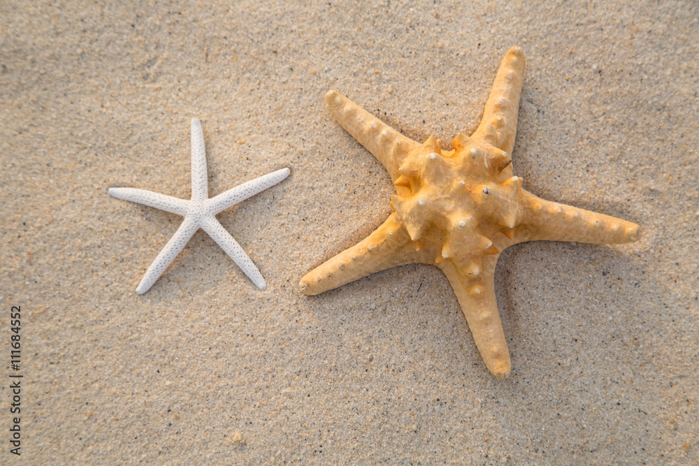 Summer holiday ,starfish on the beach for your vaction 2017 Summer holiday ,starfish on the beach for your vaction 2017