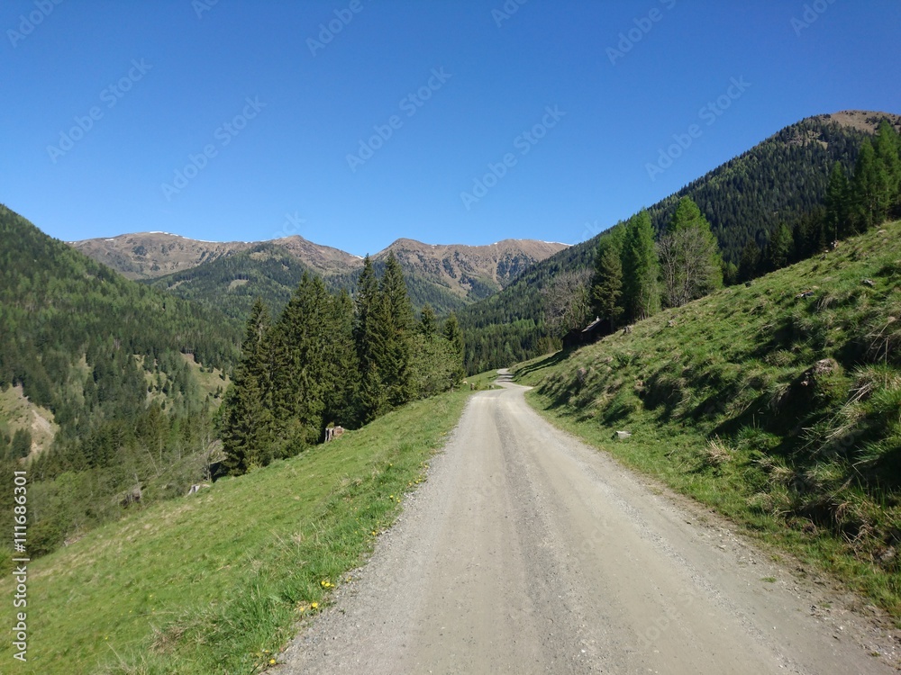 Fototapeta premium Forest Trail Into The Mountains Up To Kaninger Wolitzenhütte