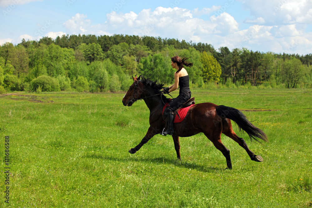 Beautiful girl riding horse in summer evening Beautiful girl riding horse in summer evening