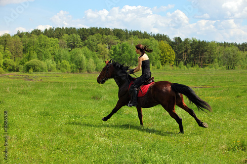 Beautiful girl riding horse in summer evening