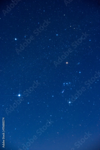 Constellations of Orion and Sirius. オリオンとシリウスの星座	