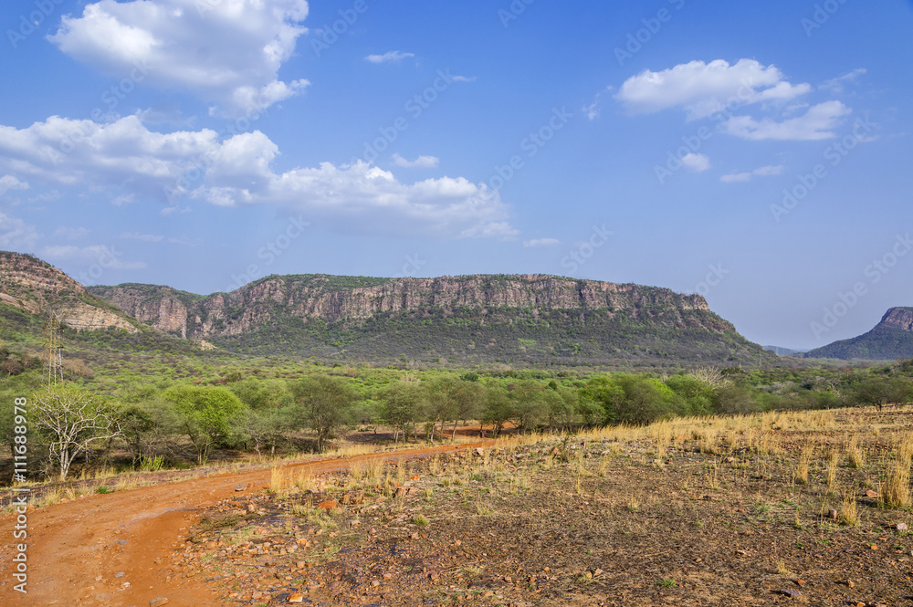 Fototapeta premium dry table land in Ranthambhore national park, India