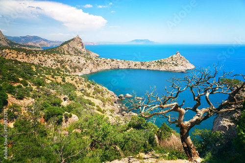 Beautiful summer landscape with the sea and rocks, Crimea photo