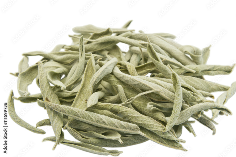 dried sage leaves on white 6969 Stock Photo Adobe Stock