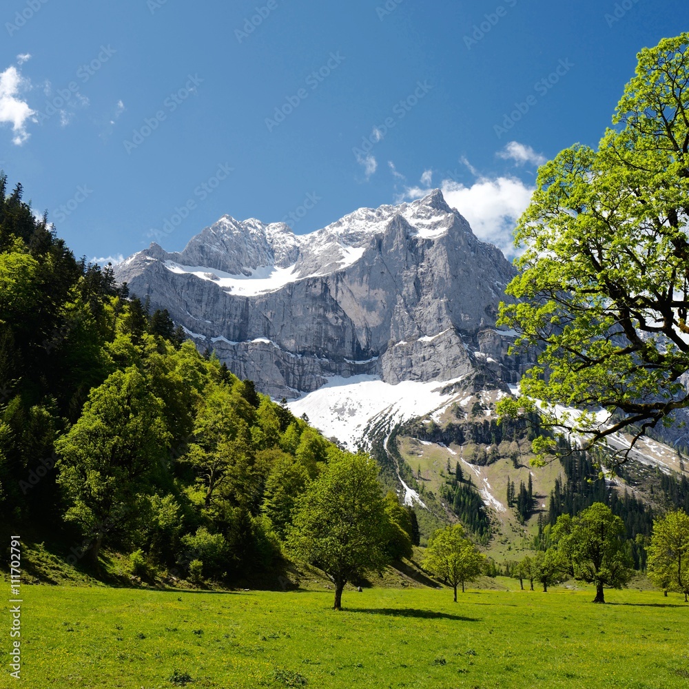 Großer Ahornboden im Karwendelgebirge