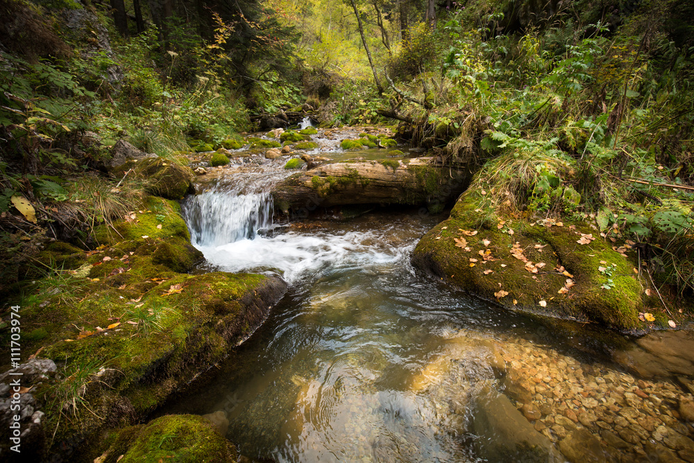 waterfall. Mountain waterfall in the forest with ferns. waterfall. Mountain waterfall in the forest with ferns.