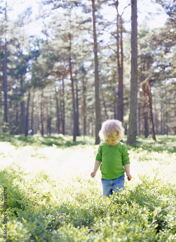 A girl in a pinewood, Sweden. A girl in a pinewood, Sweden.