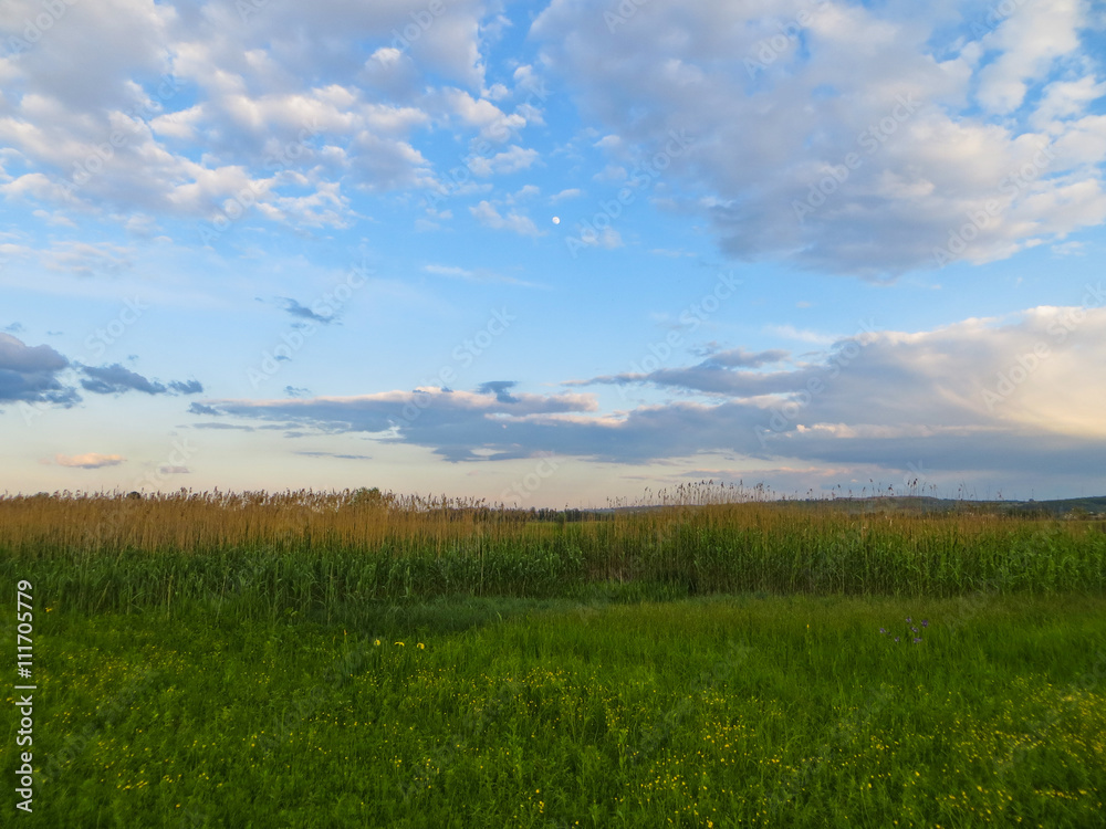 Fototapeta premium Wide green meadow
