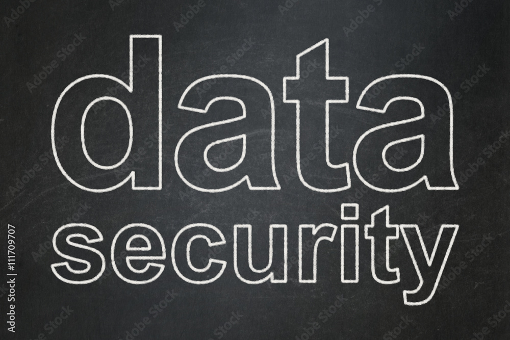 Security concept: Data Security on chalkboard background