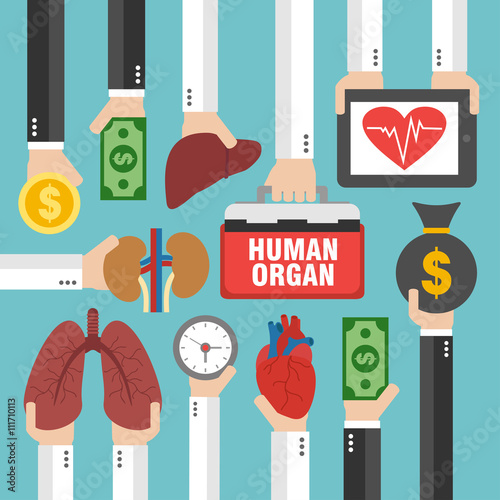 Human Transplantation infographic,buying agencies flat design