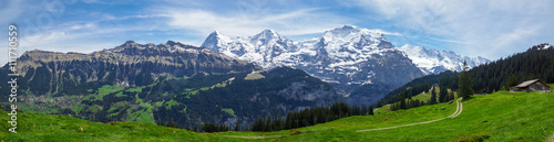 Swiss Alps panorama