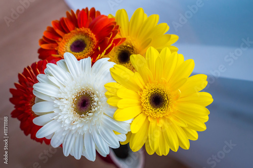 яркие цветы собранные в букет, ромашки разных цветов собранные в букет
