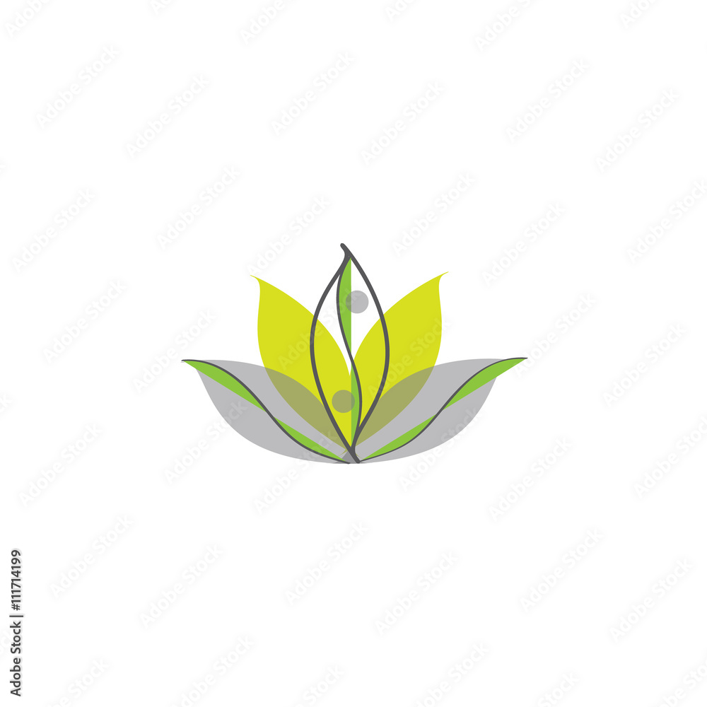 Lotus yin yang Lotus yin yang