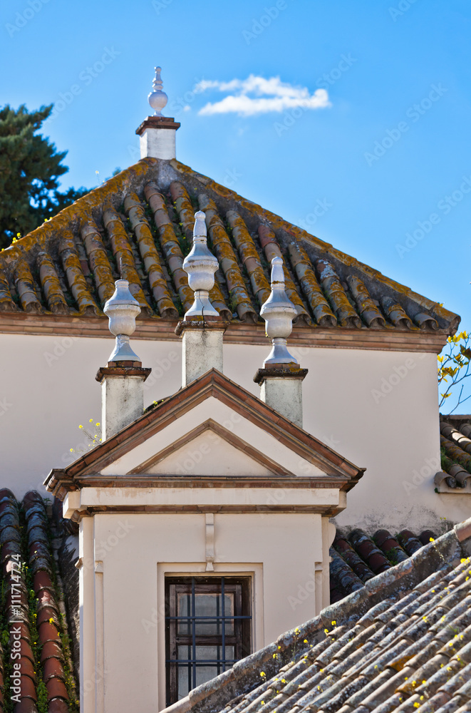 Residential houses roofs in Seville, Spain