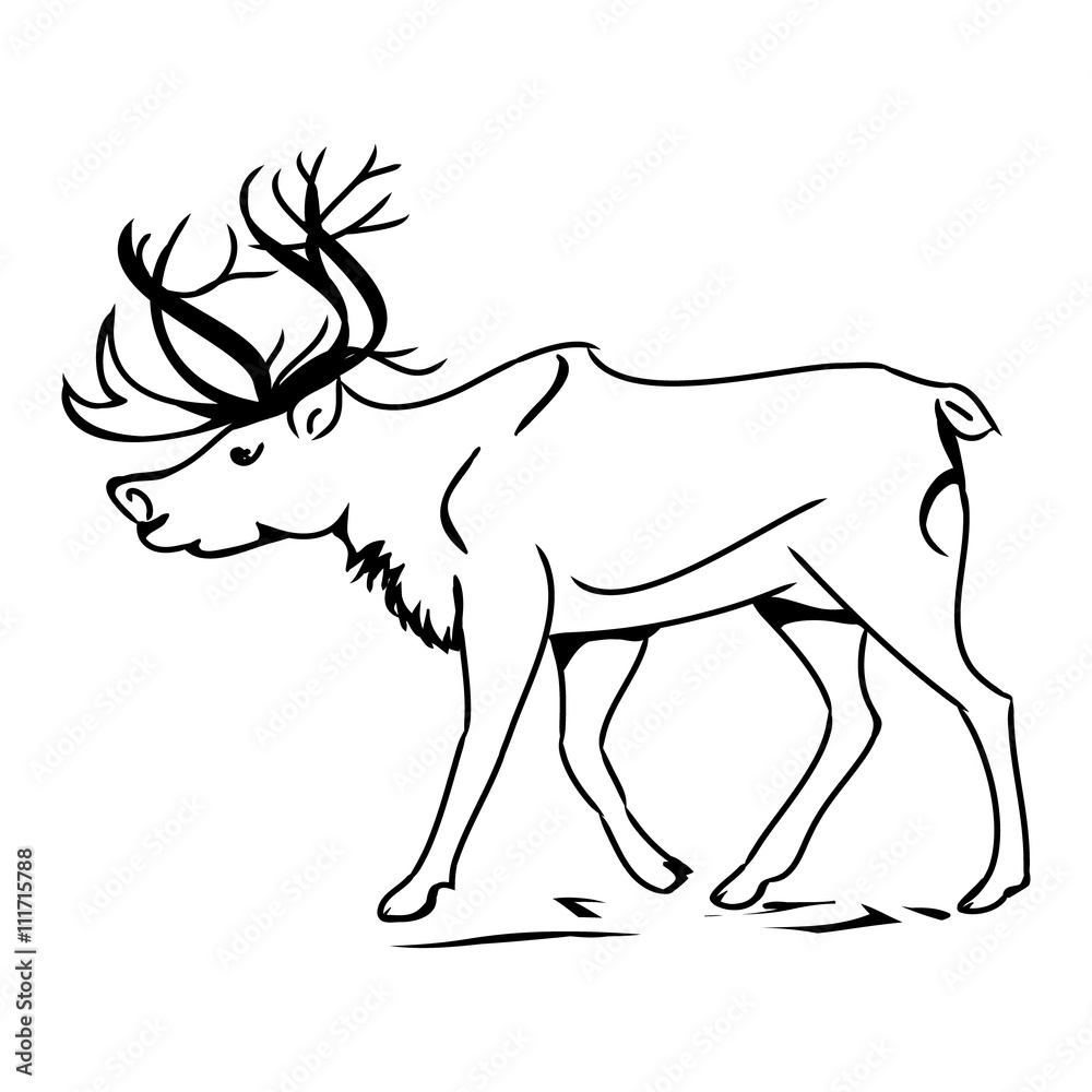 Grey deer (contour) 0