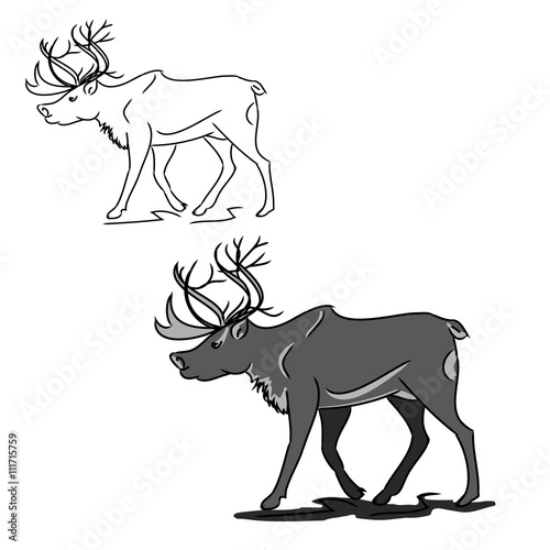 Grey deer  contour 