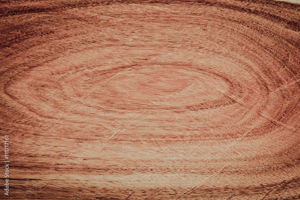 Obraz premium close-up wood texture of cut tree trunk