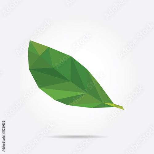 Green Leaf. Polygonal Green Leaf in Vector