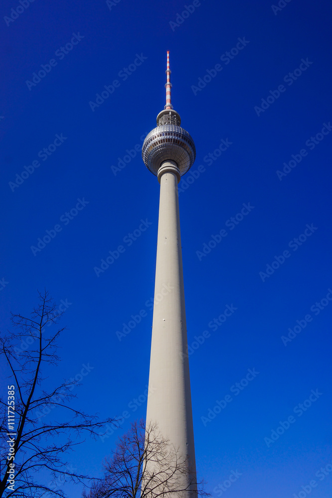 Obraz premium TV Tower of Berlin, Germany. (Fersehturm)