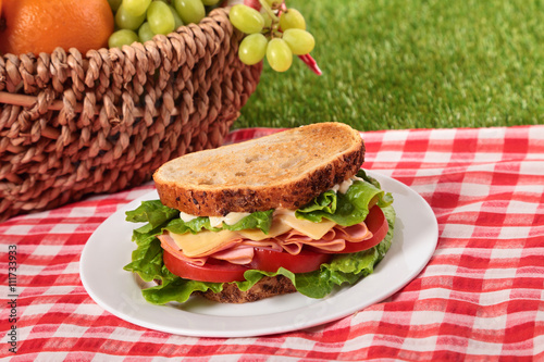 Summer picnic toasted ham and cheese sandwich