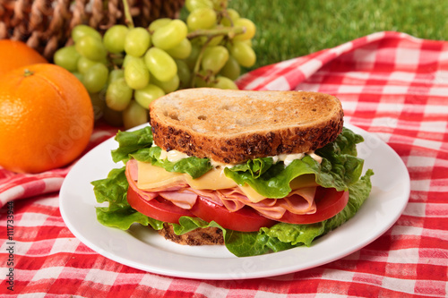 Summer picnic toasted ham and cheese sandwich