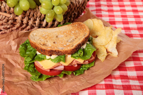 Picnic basket toasted ham and cheese sandwich
