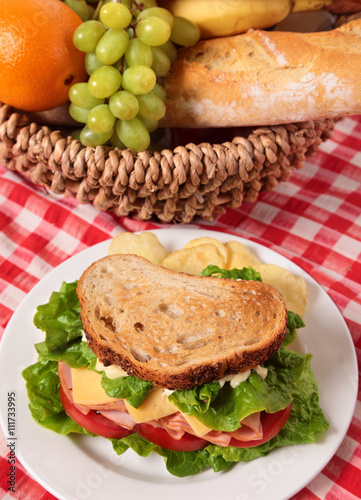Picnic basket toasted ham and cheese sandwich, top view