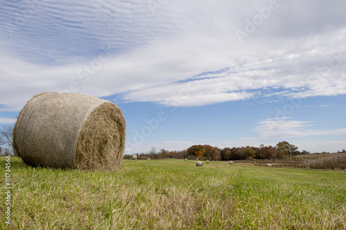 A field of green grass with a blue sky has hay bales laying in it.