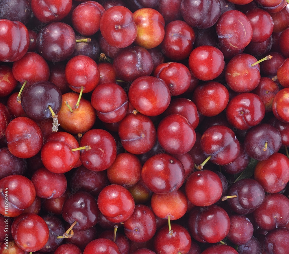 Cherry in basket Cherry in basket