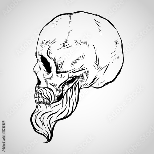 Bearded skull vector