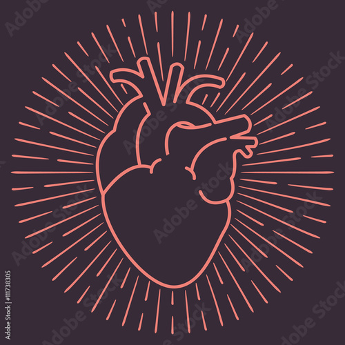 Heart vector