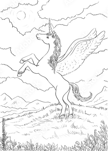 Hand drawn magic Unicorn. Coloring page with high details. Vecto