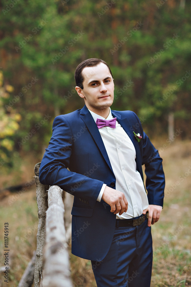 the groom in a blue suit and bow tie posing in the photo the groom in a blue suit and bow tie posing in the photo