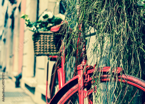 Vintage bicycle painted red, with wicker basket used as original plant stand on the sunny street. 