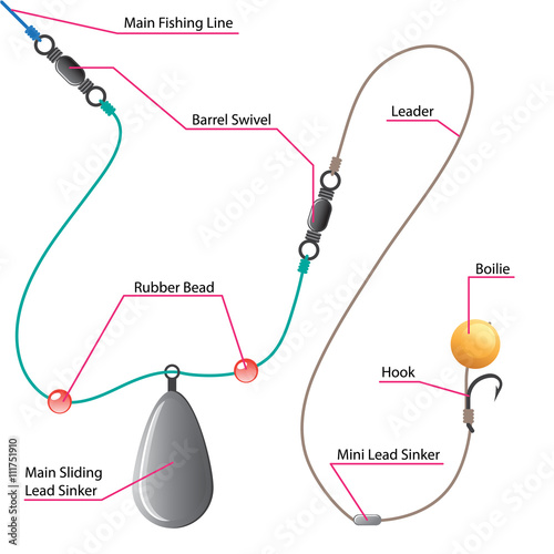 Boilie setup diagram for Carp fishing photo
