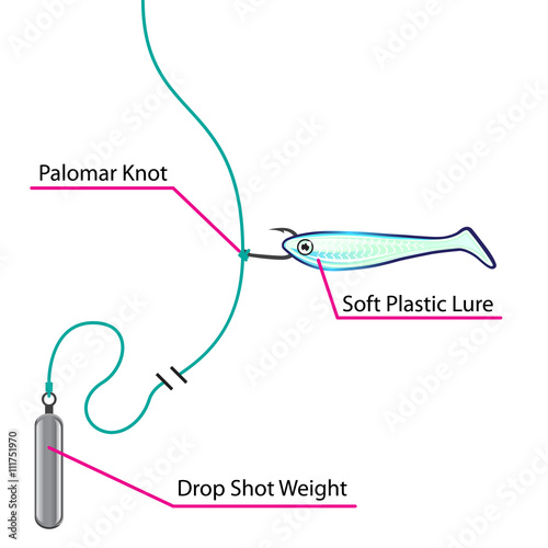 Drop Shot lure setup bottom fishing