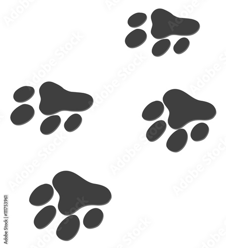 Animal footprints on white background