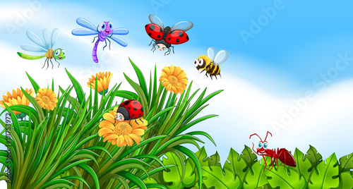 Insects living in the garden