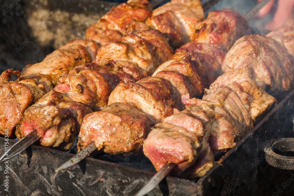 grilled meat on a skewer