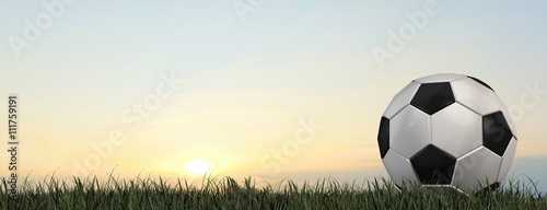 Soccer Ball on Grass with sky background