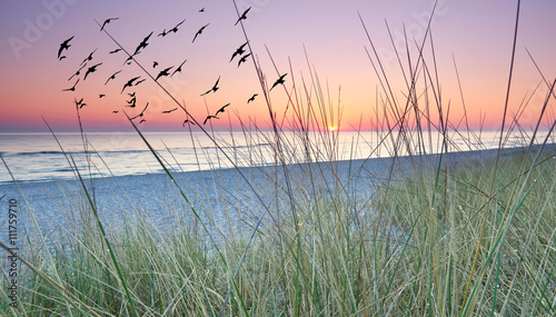 Fototapeta Naklejka Na Ścianę i Meble -  morgens hinter den Dünen, Sonnenaufgang am Meer