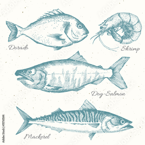 Hand drawn sea life
