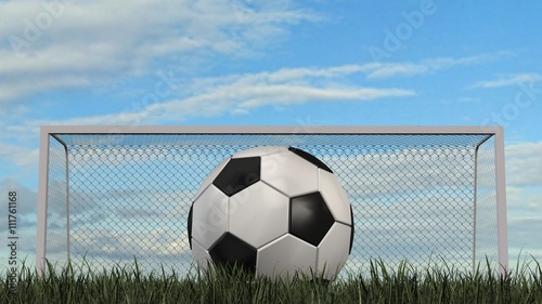 Soccer Ball on Grass with sky background © Riko Best
