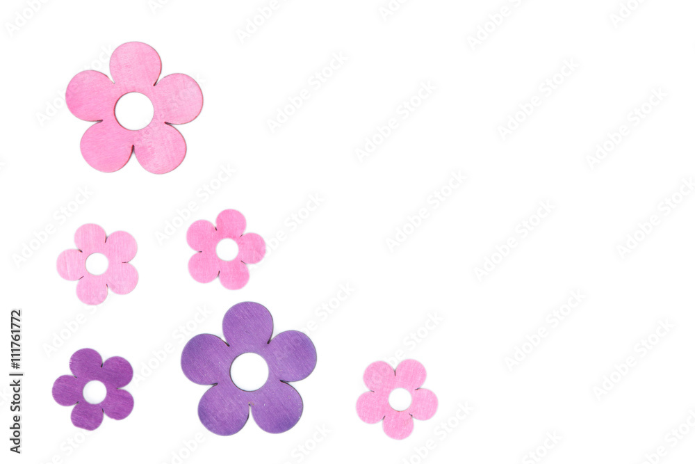 flowers isolated on a white background