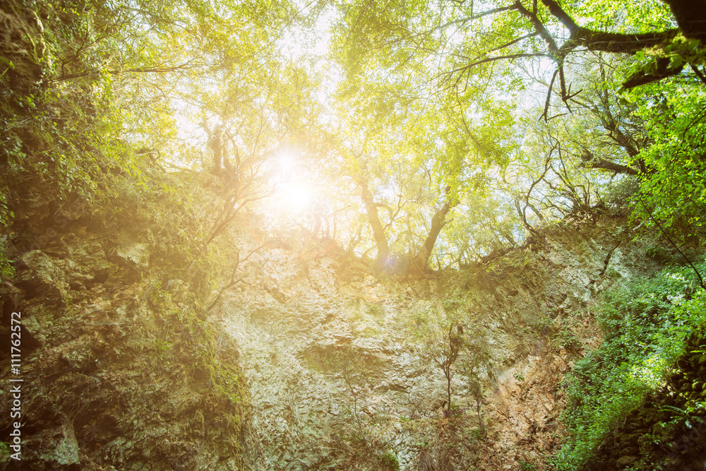 Fototapeta premium Mystery forest with entrance to the cave, sunlight landscape